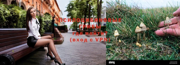 шишки Алексеевка