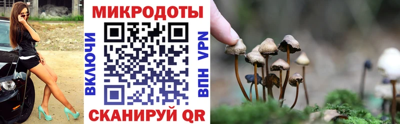 наркотики  МЕГА зеркало  Галлюциногенные грибы MAGIC MUSHROOMS  Полевской 